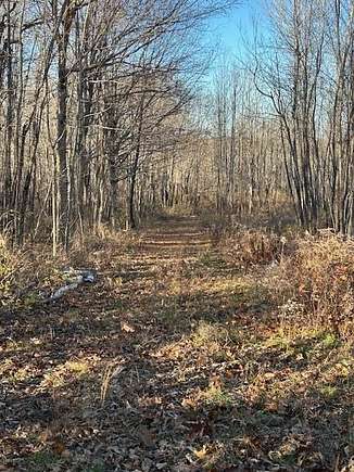 22 Acres of Land for Sale in Dixmont, Maine