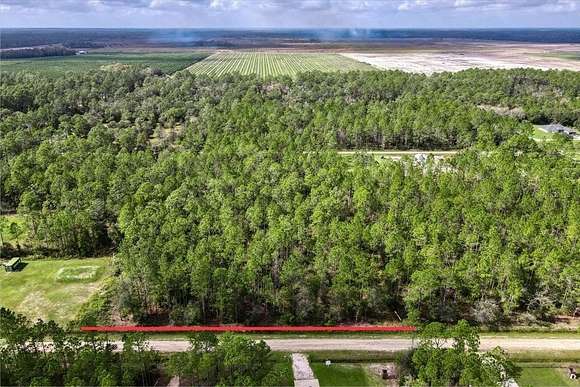 2.27 Acres of Residential Land for Sale in Hastings, Florida