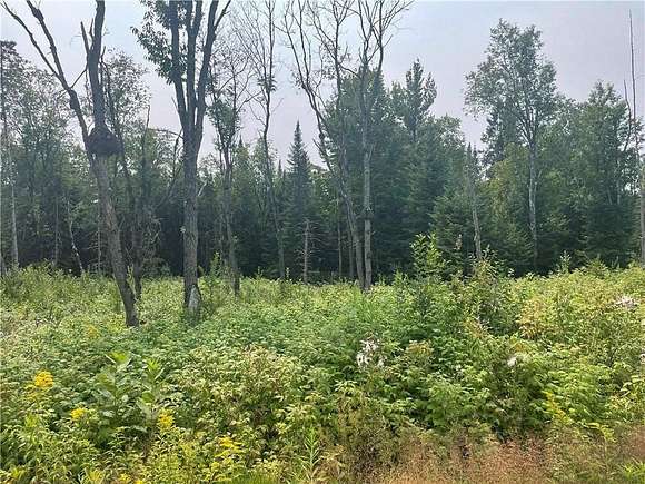 6 Acres of Land for Sale in Butternut, Wisconsin