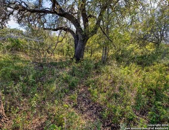 11.04 Acres of Land for Sale in D'Hanis, Texas