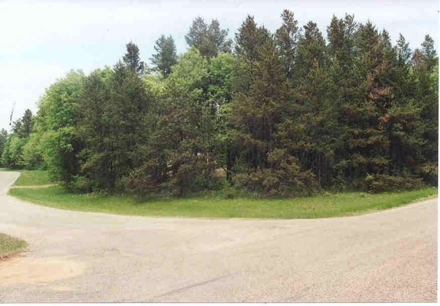 0.58 Acres of Residential Land for Sale in Nekoosa, Wisconsin