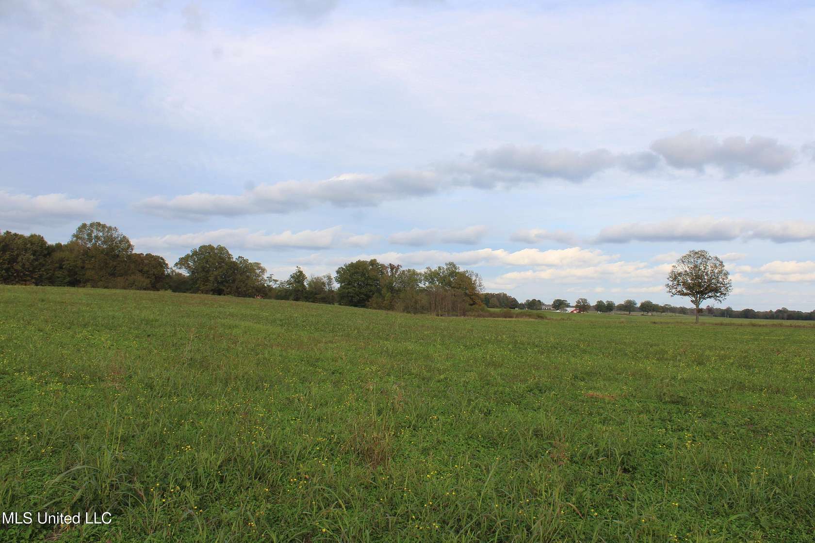 18 Acres of Land for Sale in Byhalia, Mississippi