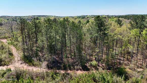 17.3 Acres of Recreational Land for Sale in Decatur, Mississippi