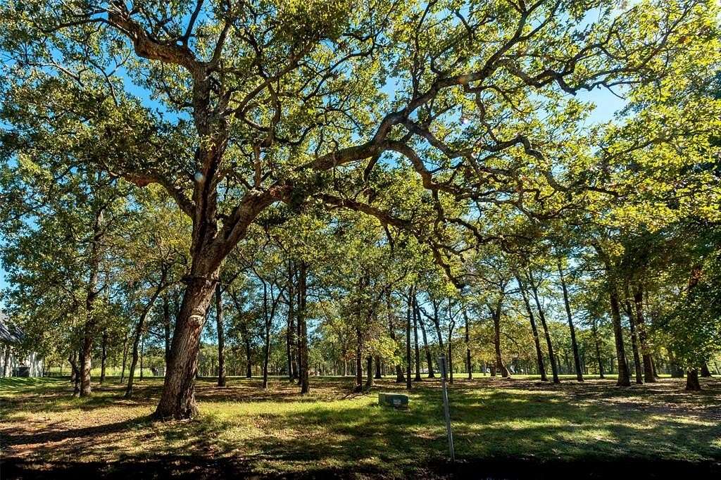 0.258 Acres of Residential Land for Sale in Mabank, Texas