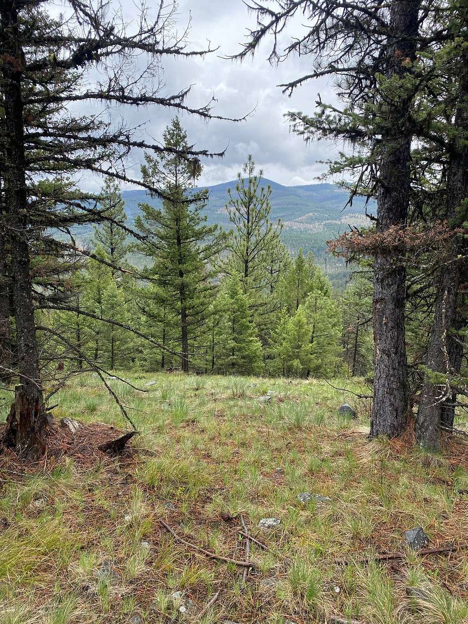 20.89 Acres of Recreational Land for Sale in Kila, Montana