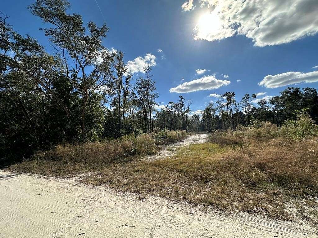 4.84 Acres of Land for Sale in Old Town, Florida