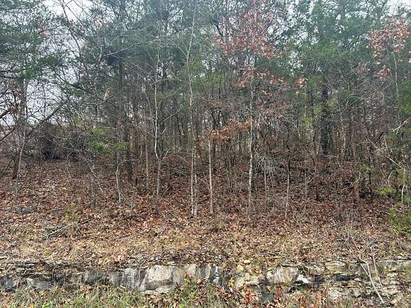 0.077 Acres of Residential Land for Sale in Rockaway Beach, Missouri