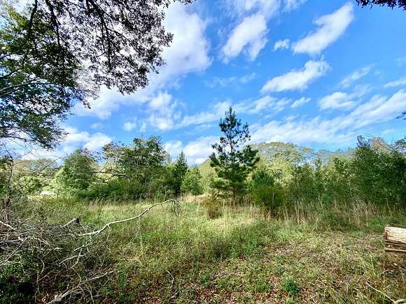 1 Acre of Residential Land for Sale in Carriere, Mississippi