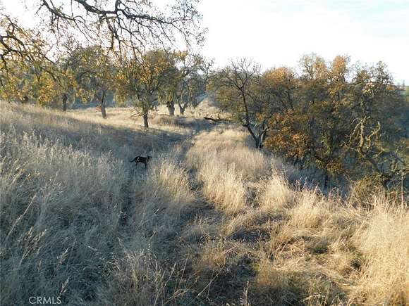 10 Acres of Agricultural Land for Sale in Creston, California