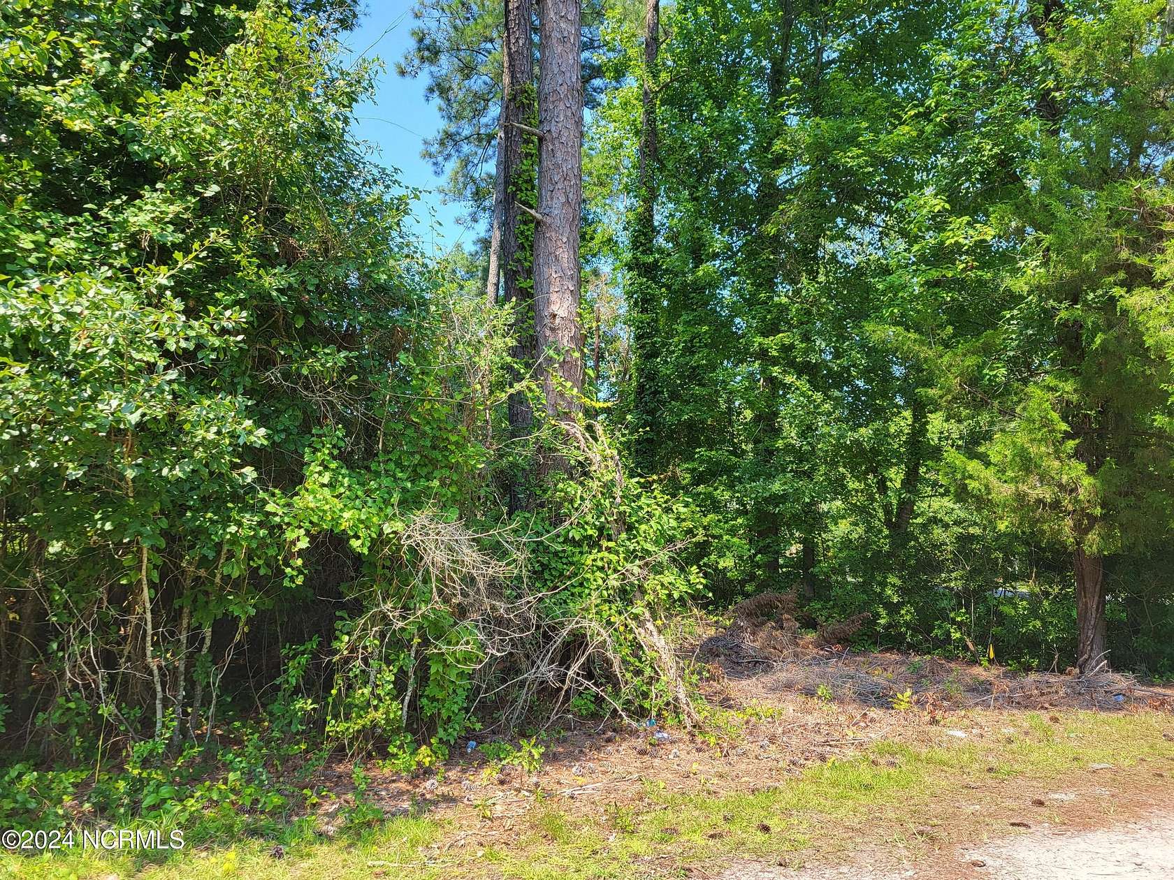 0.23 Acres of Residential Land for Sale in Washington, North Carolina