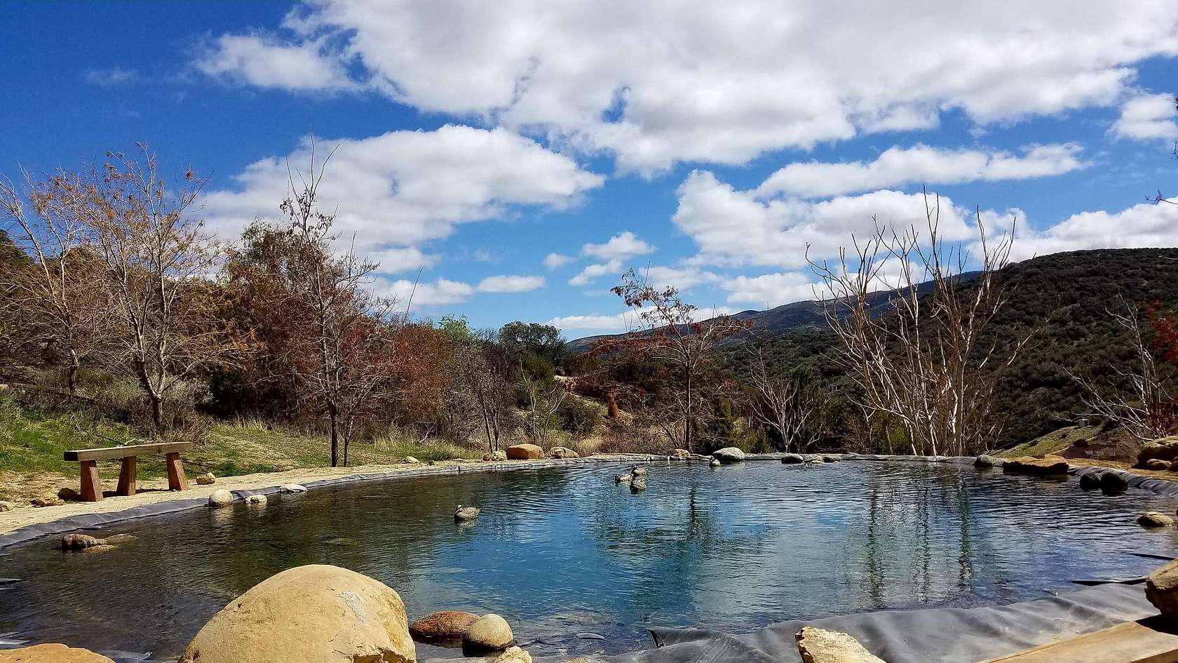 Land for Sale in Leona Valley, California