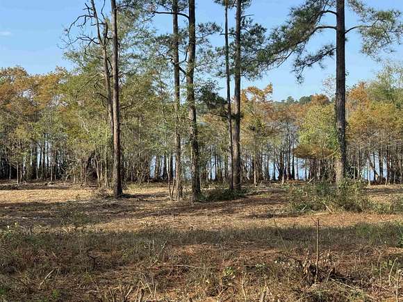 Land for Sale in Broaddus, Texas