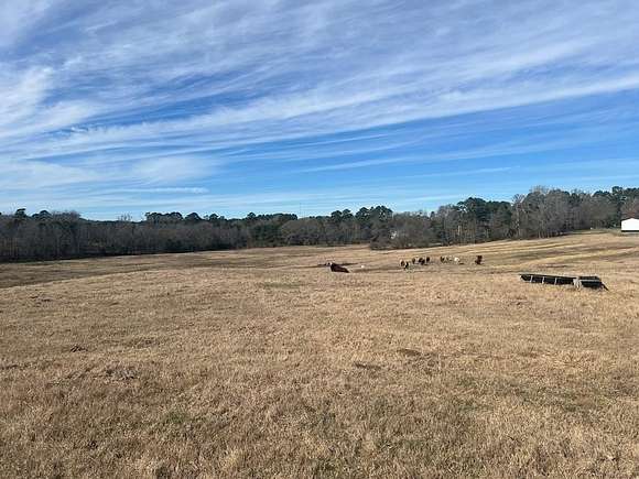 69.565 Acres of Recreational Land & Farm for Sale in Palestine, Texas