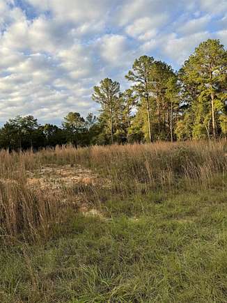 1.04 Acres of Residential Land for Sale in Andalusia, Alabama