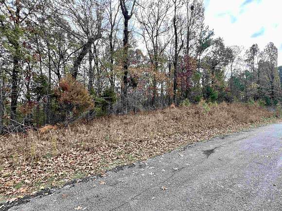 0.33 Acres of Residential Land for Auction in Middleton, Tennessee