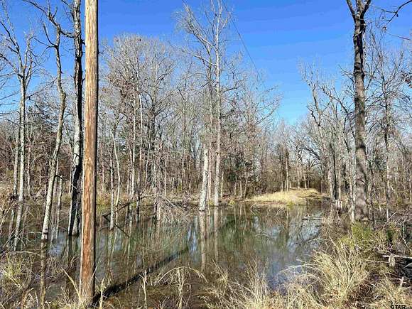 10.3 Acres of Recreational Land for Sale in Simms, Texas