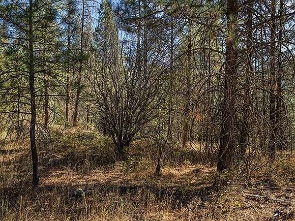 10 Acres of Land for Sale in Nine Mile Falls, Washington