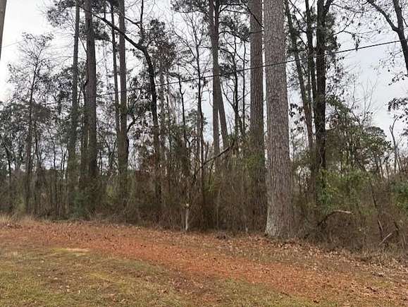 0.379 Acres of Residential Land for Sale in Elm Grove, Louisiana