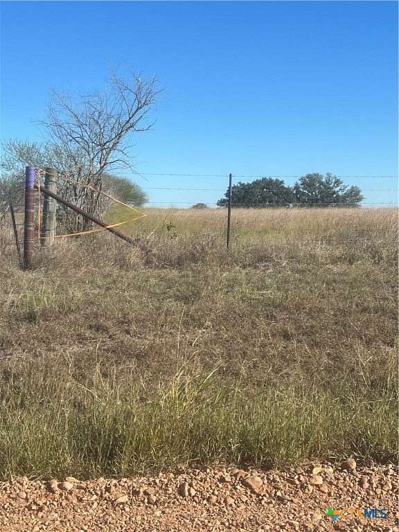 25.419 Acres of Land for Sale in Yorktown, Texas