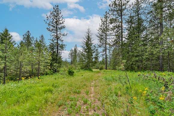 10.9 Acres of Land for Sale in Deer Park, Washington