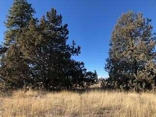 0.5 Acres of Residential Land for Sale in Chiloquin, Oregon