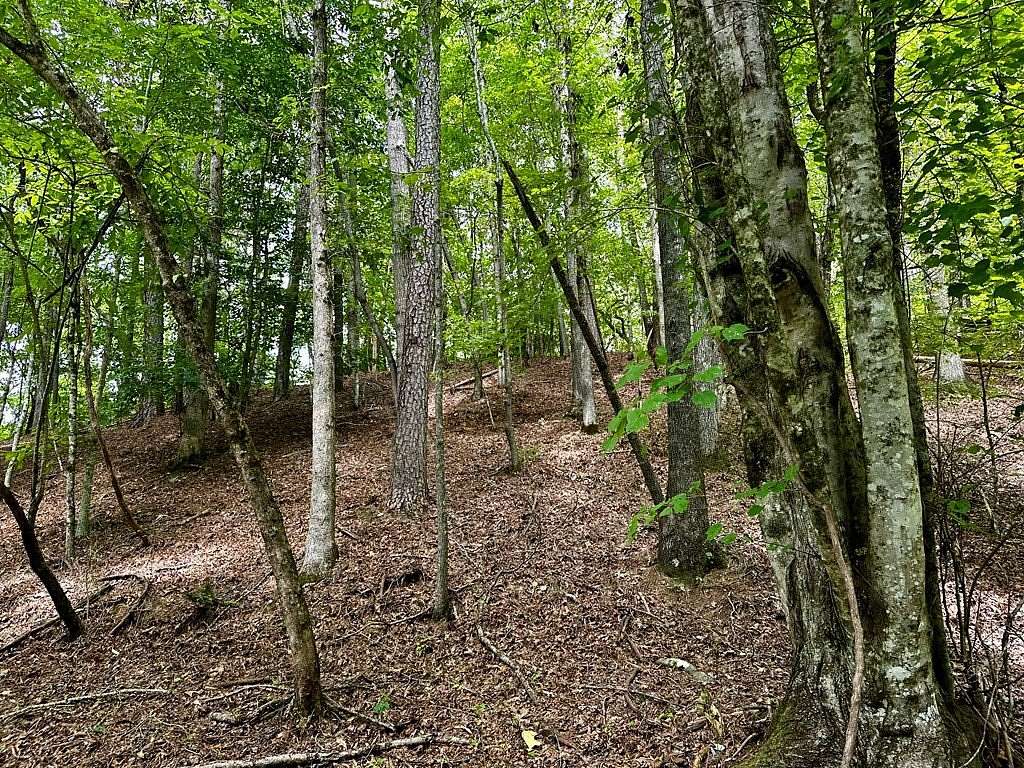 6.17 Acres of Land for Sale in Murphy, North Carolina