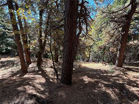 0.555 Acres of Residential Land for Sale in Cedarpines Park, California