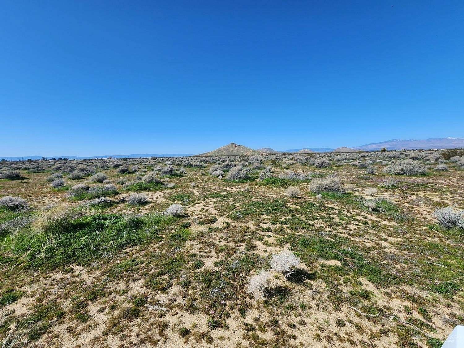 2.5 Acres of Residential Land for Sale in Rosamond, California