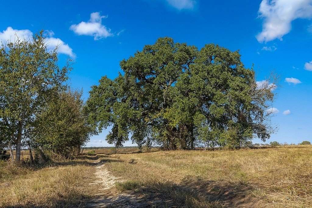 49.67 Acres of Agricultural Land for Sale in La Grange, Texas