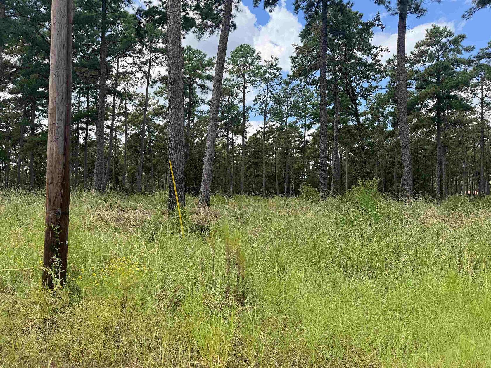 1 Acre of Residential Land for Sale in Brookeland, Texas