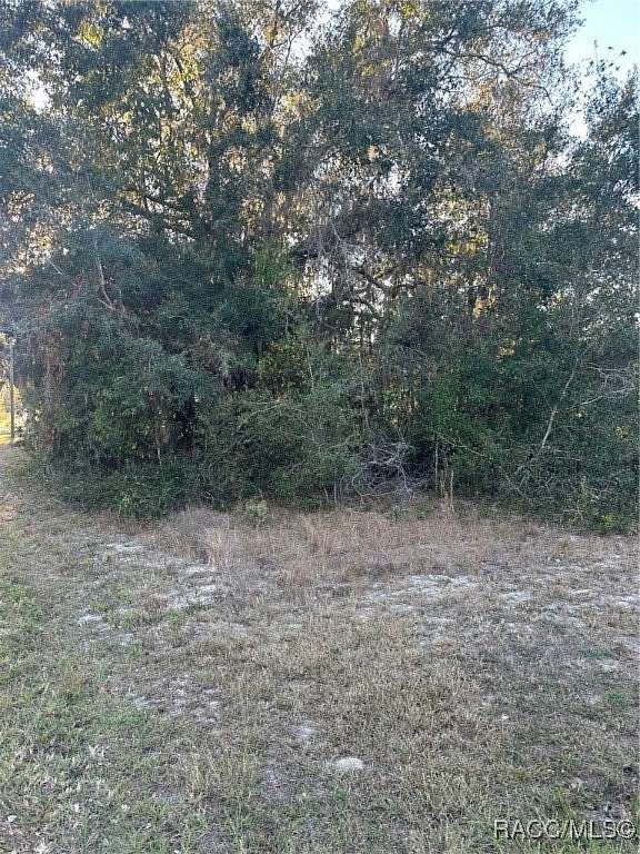 0.31 Acres of Land for Sale in Dunnellon, Florida