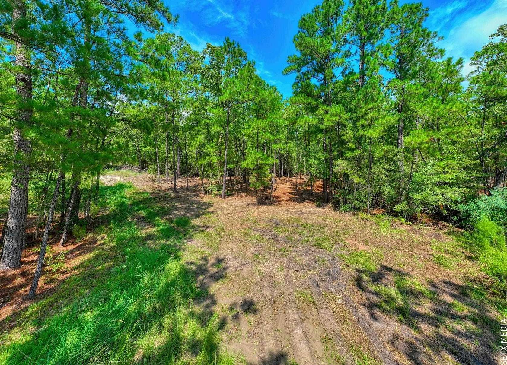 0.51 Acres of Land for Sale in Brookeland, Texas