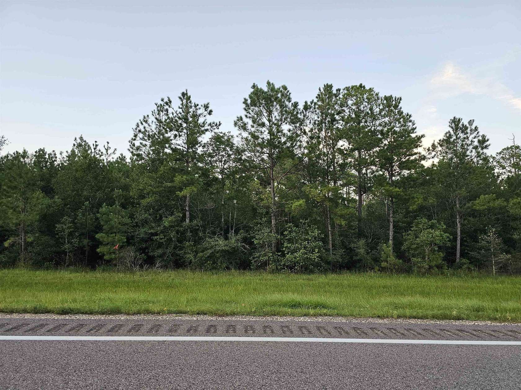 6 Acres of Residential Land for Sale in Kountze, Texas