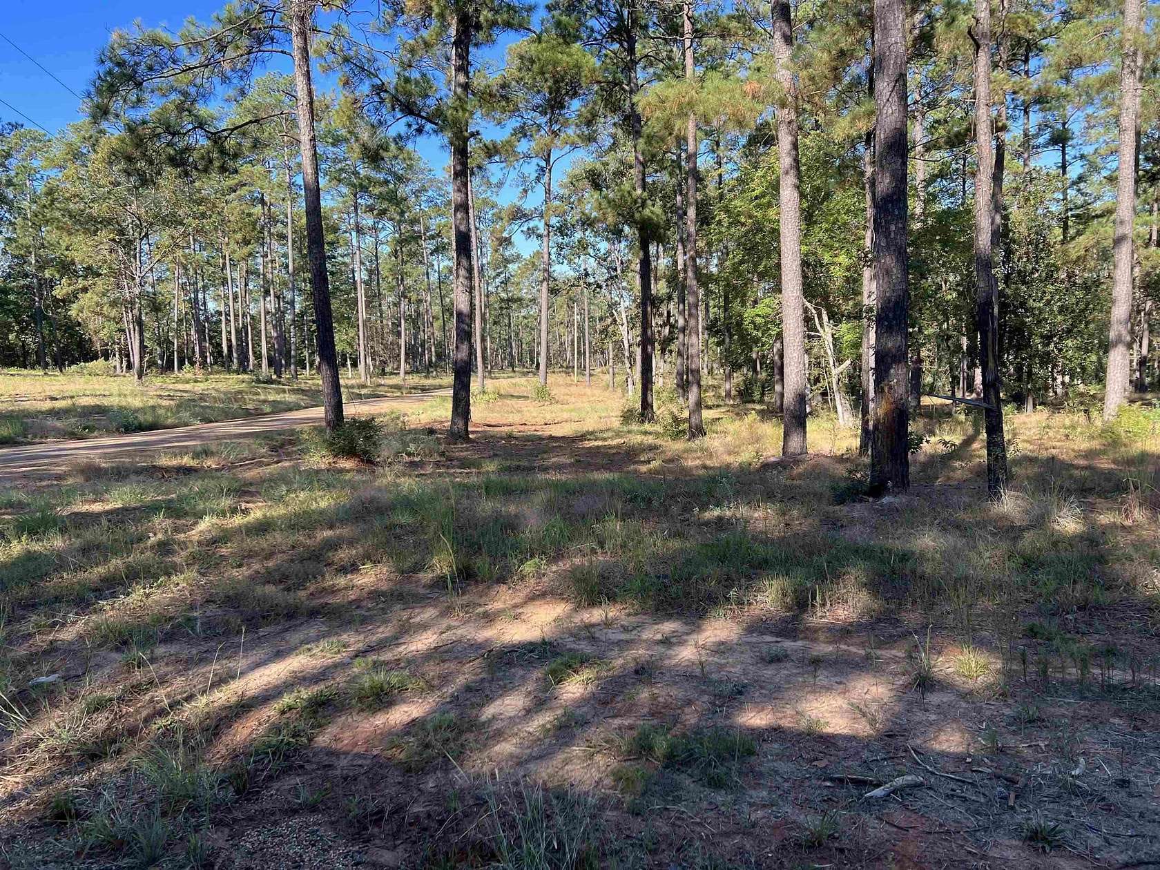 1.74 Acres of Residential Land for Sale in Brookeland, Texas