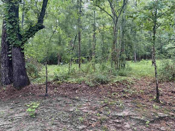 2 Acres of Residential Land for Sale in Brookeland, Texas