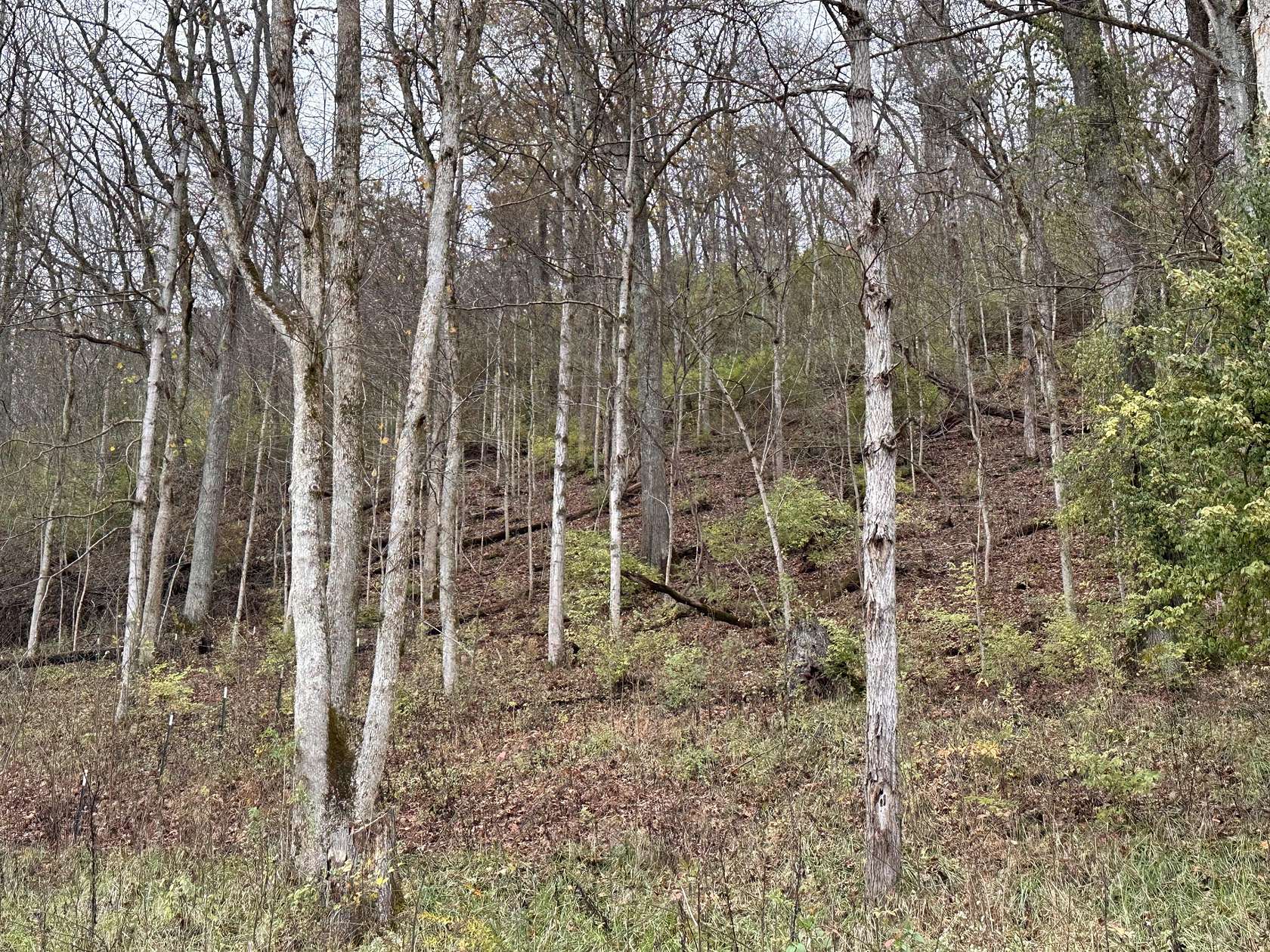 3 Acres of Residential Land for Sale in Frankfort, Kentucky