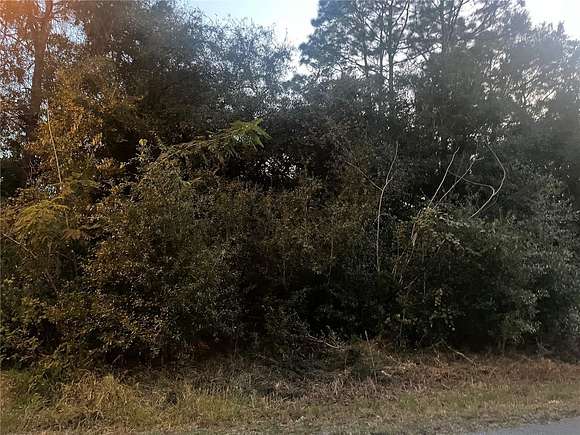 0.24 Acres of Residential Land for Sale in Ocala, Florida