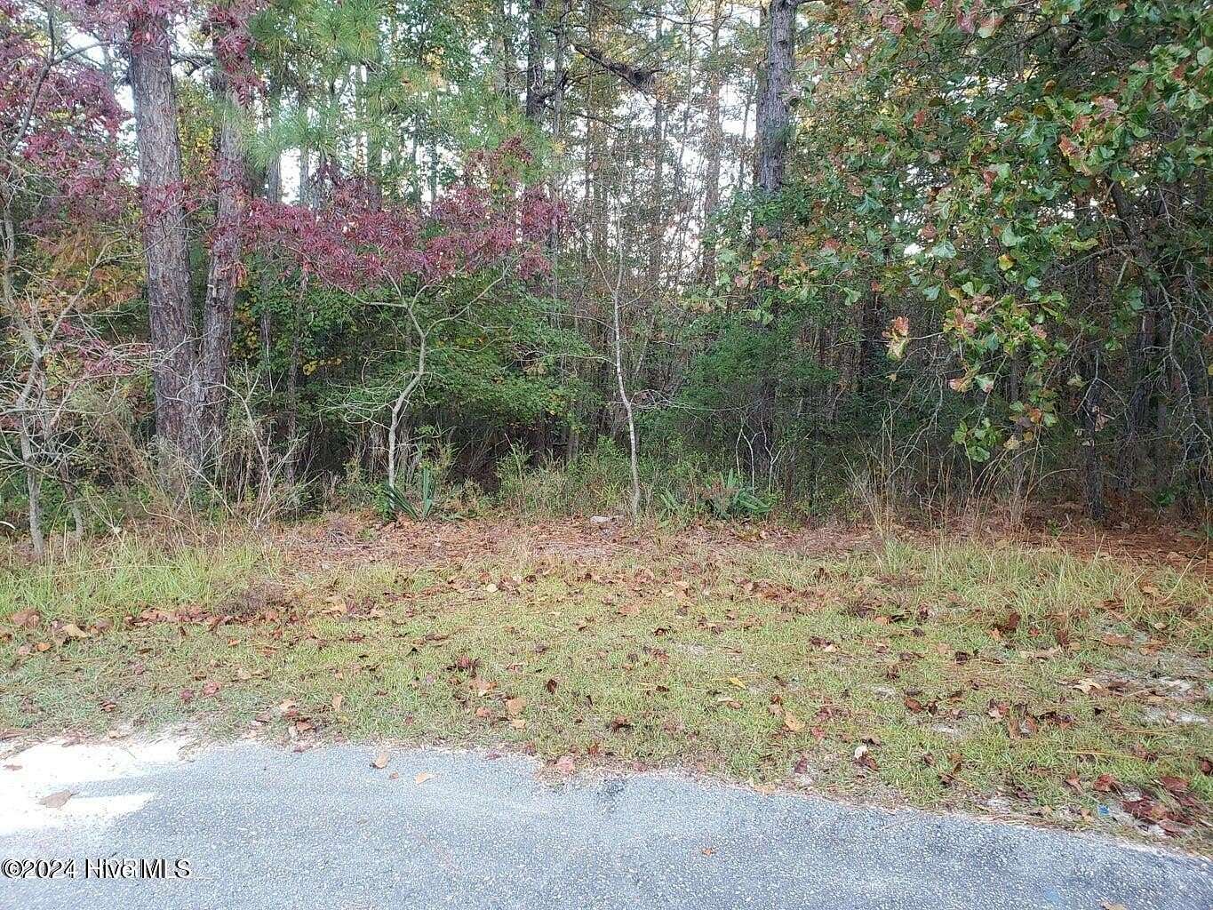 2.67 Acres of Residential Land for Sale in Jackson Springs, North Carolina