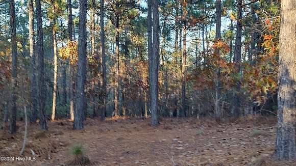 1.19 Acres of Residential Land for Sale in Jackson Springs, North Carolina