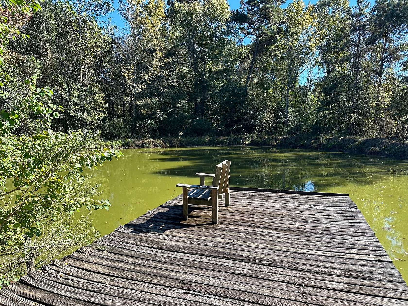 38 Acres of Recreational Land for Sale in Enterprise, Alabama