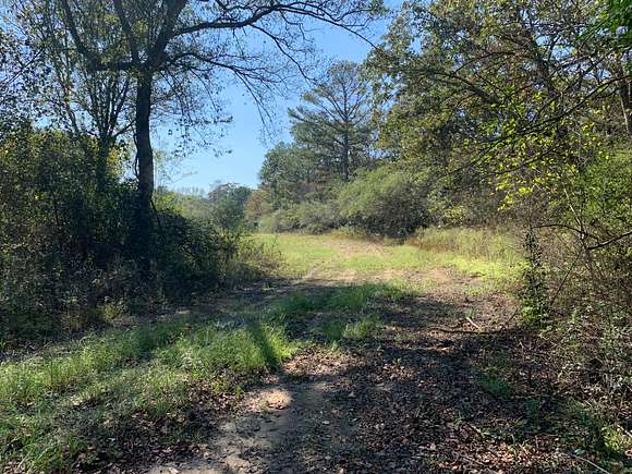 59 Acres of Agricultural Land for Sale in Fyffe, Alabama