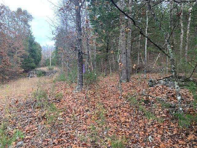 5.48 Acres of Land for Sale in Yellville, Arkansas