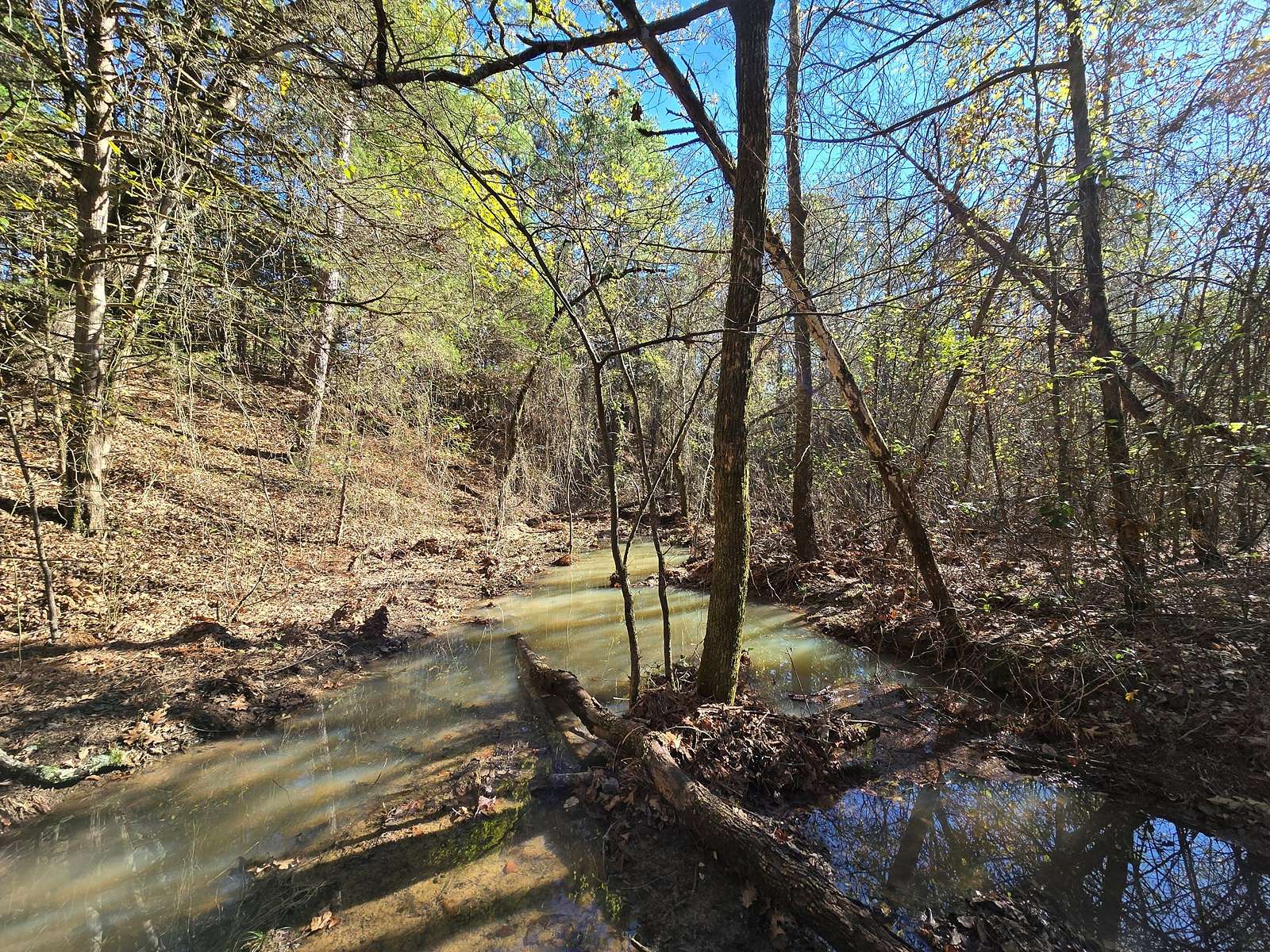 141 Acres of Land for Sale in Bates, Arkansas