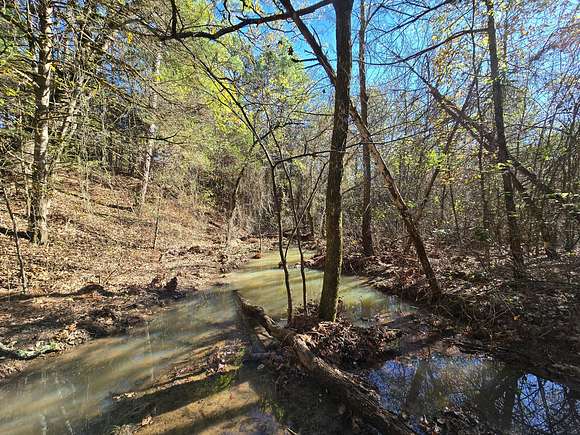 141 Acres of Recreational Land & Farm for Sale in Bates, Arkansas