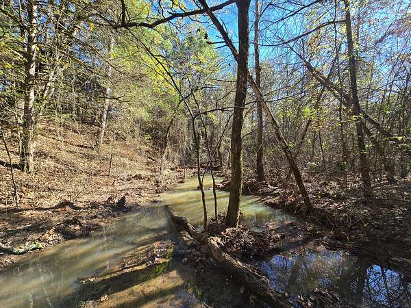 141 Acres of Land for Sale in Bates, Arkansas