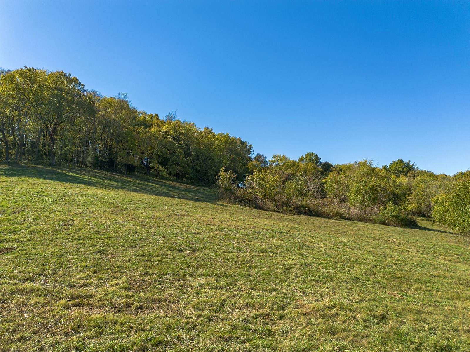 31.39 Acres of Land for Sale in Mount Pleasant, Tennessee