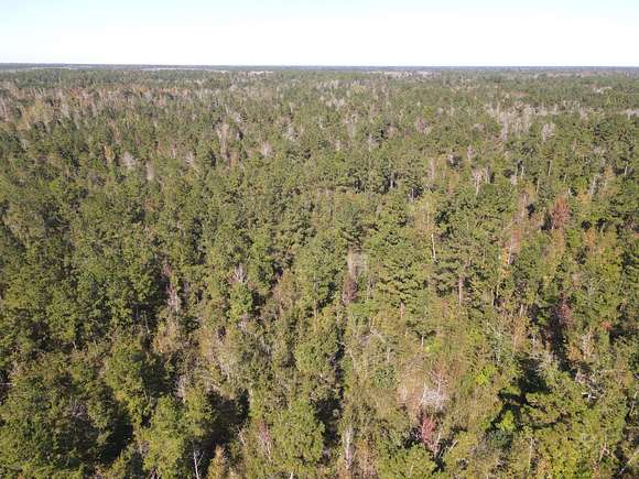 15 Acres of Recreational Land for Sale in Marianna, Florida