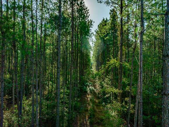 93.96 Acres of Recreational Land for Sale in Loris, South Carolina