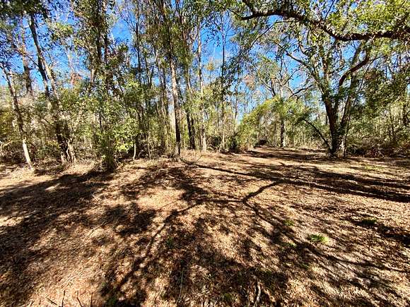 50.93 Acres of Recreational Land for Sale in Madison, Florida