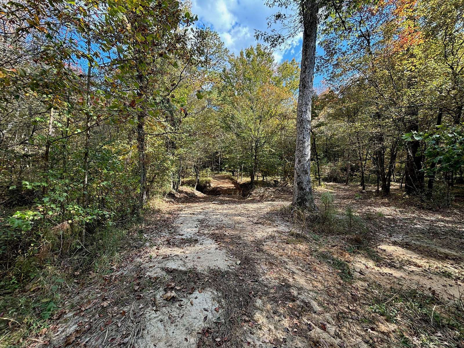 175 Acres of Recreational Land & Farm for Sale in Roxie, Mississippi